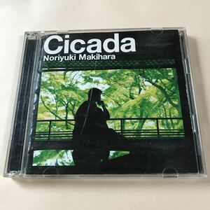 槇原敬之　CD+SCD 2枚組「Cicada」