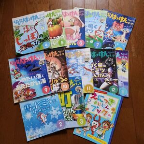 チャレンジ2年生 はてなはっけんブック