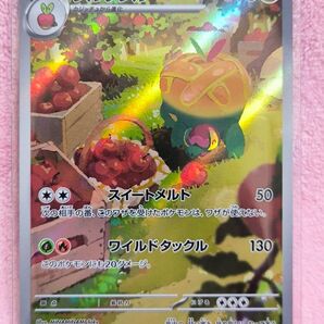 タルップル 075064 AR