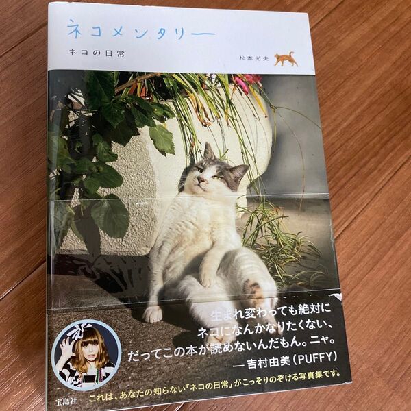 ネコ 本 ネコメンタリー 猫