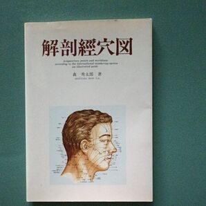 解剖経穴図 鍼灸