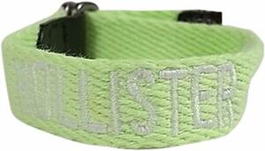 Hollister Hollister bracele ( light green )