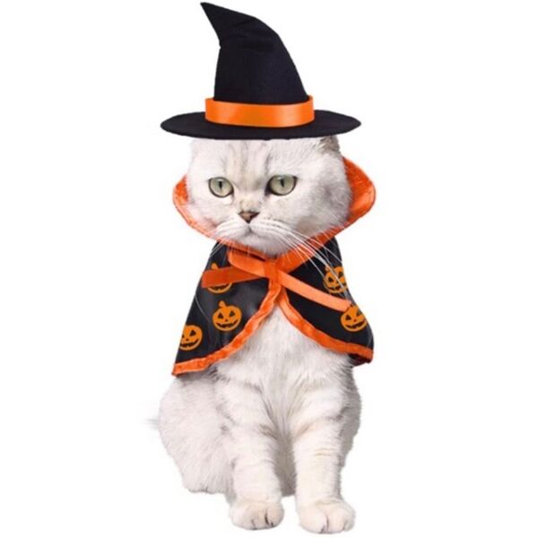 大人気猫 犬 ハロウィン 帽子 マント セット ペット用 仮装 コスプレ