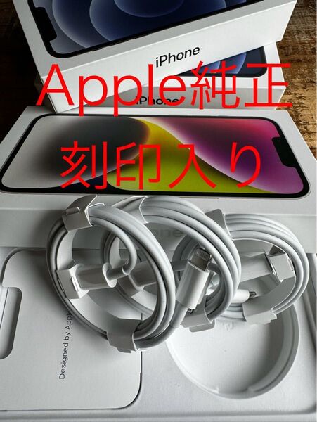 Apple iPhone充電器 AirPods充電器 USB-C ライトニングケーブル Apple純正品 3個セット