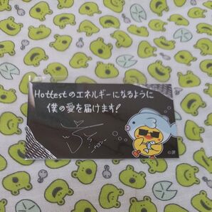 2PM ウヨン オフィシャルグッズ購入特典 ピヨン