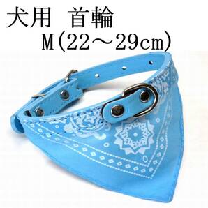 首輪 バンダナ付き M 水色 首回22~29㎝前後 幅1.5cm 犬 猫 小型犬 子犬 スカイブルー スカーフ PUレザー 室内 ペット用品 散歩