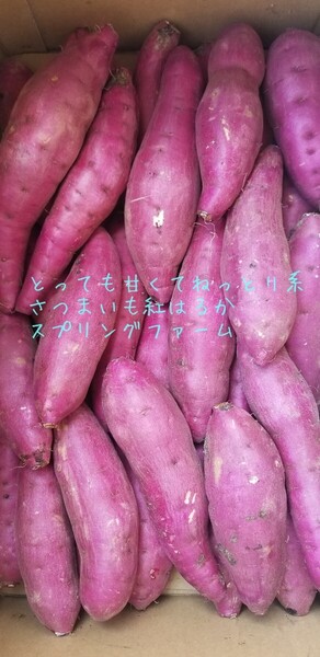 さつまいも24㌔以上茨城県紅はるかS&2Sメイン少し訳あり品サツマイモ減農薬栽培 農家直送便 重量多めに