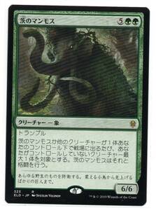 即決　MTG　茨のマンモス　日本語　エルドレインの王権