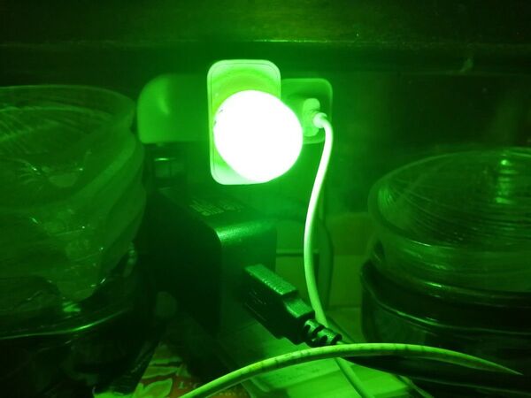 緑色USB小さなナイトライトミニ1個クリエイティブポータブルソフトライトLED小さな丸いライト子供用ベッドサイドライトプラグイン◎