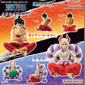 すわらせ隊りある ワンピース ルフィ ヤマト