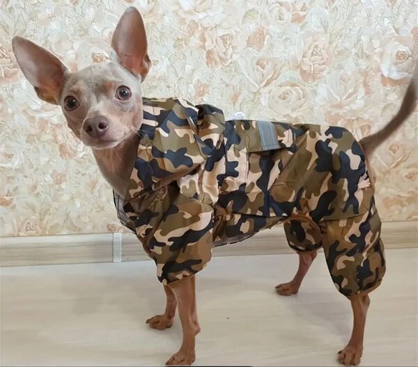 小型犬用 防水反射 レインコート サイズ XXL 迷彩 手洗い可能 犬服 小型犬 ペット用品