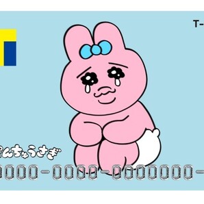 匿名配送 Tカード おぱんちゅうさぎ 新品未使用 1枚 Vポイントカード