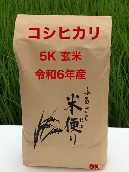コシヒカリ 5K 玄米 茨城県産