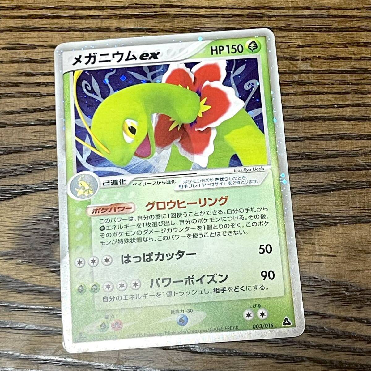 Yahoo!オークション -「メガニウムex」(ポケモンカードゲーム Yahoo!オークション -「メガニウムex」(ポケモンカードゲーム