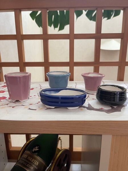 【小鉢606】ミニ小鉢 5つセット MINI植木 盆栽 山野草 アンティーク (箱入り)