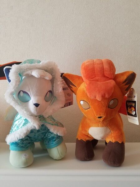 ビルドアベア ポケモン アローラロコン ロコン