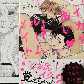 わかちこ イカせあいルームメイト アニメイト特典リーフレット BLコミック ボーイズラブ