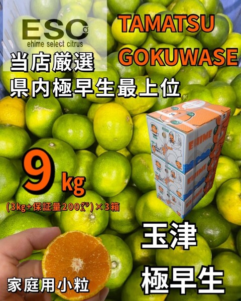 送料込!!ESC愛媛県玉津産極早生みかん小粒家庭用当店最上位希少9㎏((3kg+保証量200㌘)×3箱)みきゃん箱③