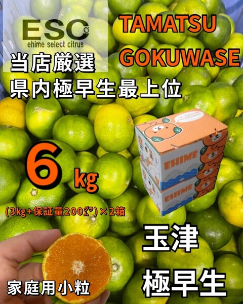 送料込!!ESC愛媛県玉津産極早生みかん小粒家庭用当店最上位希少6㎏((3kg+保証量200㌘)×2箱)みきゃん箱①