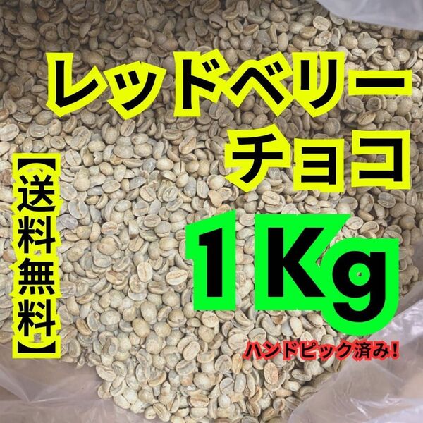 【24時間以内に発送】レッドベリーチョコ【生豆珈琲】【1Kg】【送料無料】