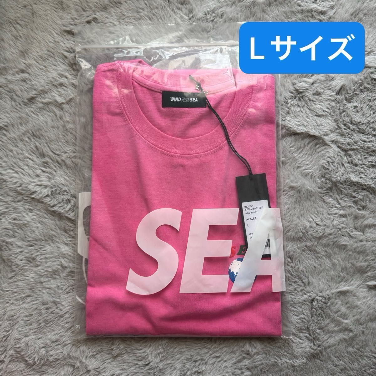 週末セール　WIND AND SEA Tシャツ BIOTOP EX Lサイズ　ウィンダンシー　windandsea T-shirt