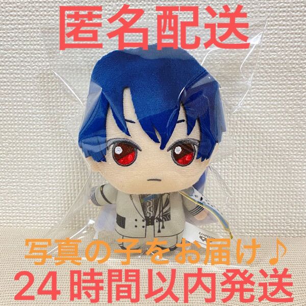 ナムコ限定 魔法使いの約束 きらどるぬいぐるみ 盛装の魔法使いver.~東の国~ シノ
