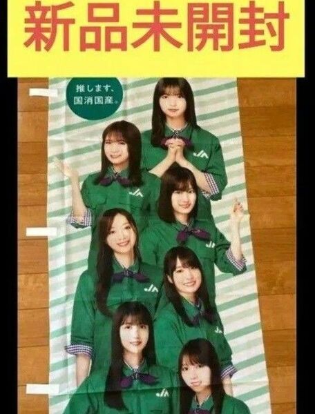 【早い者勝ち】乃木坂46 JAグループ 国消国産のぼり旗