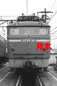 鉄道写真、35ミリネガデータ、02028390008、EF80-36、田端機関区、1983.05.01、（2752×1825）