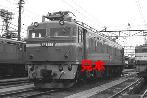 鉄道写真、35ミリネガデータ、02028390004、EF81-86、田端機関区、1983.05.01、（2970×1969）