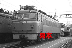 鉄道写真、35ミリネガデータ、02028390007、EF80-38、田端機関区、1983.05.01、（2819×1869）