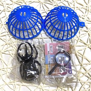 【匿名配送】 虫カゴ風カプセル付き 甲虫採集標本 ZOOM コーカサスオオカブト