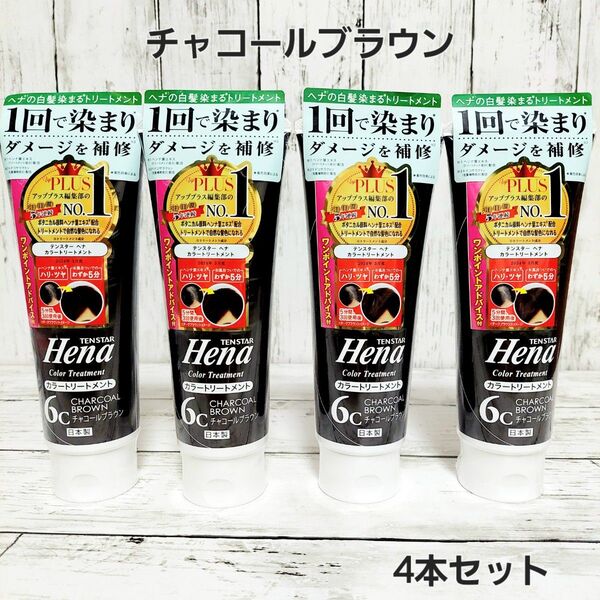 テンスター カラートリートメント チャコールブラウン 250g