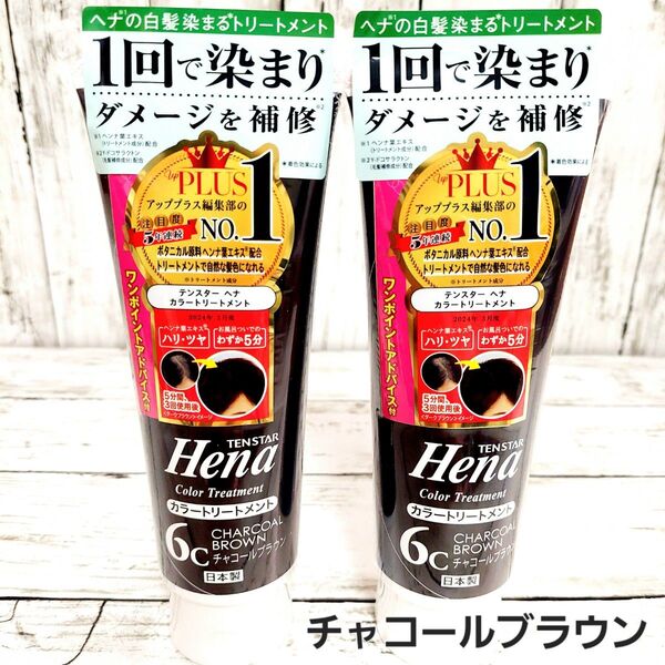 テンスター カラートリートメント チャコールブラウン 250g