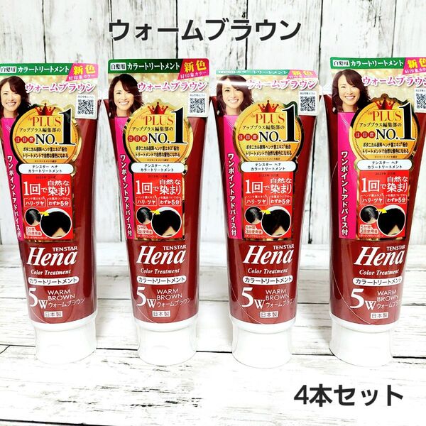 テンスター カラートリートメント ウォームブラウン 250g