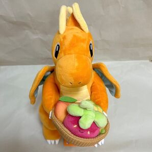 新品タグ付き ポケモンセンター台北 カイリュー ぬいぐるみ