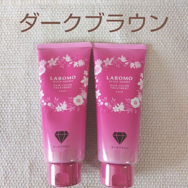 アートネイチャー☆ラボモスカルプアロマヘアカラートリートメント☆ダークブラウン200g×2本☆新品
