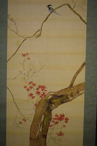 Art hand Auction [أصيل] // Touhara Hosen / أوراق أواخر الخريف والدجاج / خشب بولونيا مع صندوق مزدوج / تمرير معلق Hotei-ya HG-884, تلوين, اللوحة اليابانية, الزهور والطيور, الحياة البرية