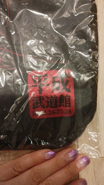 MISIA ライブグッズ 平成武道館