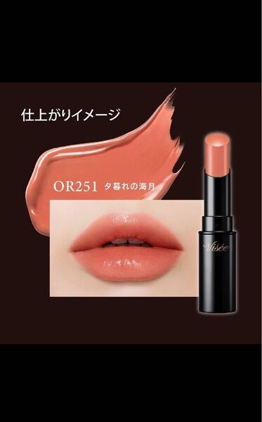 新品未開封 限定色 ヴィセ ネンマクフェイクルージュ OR251 夕暮れの海月 口紅 リップカラー