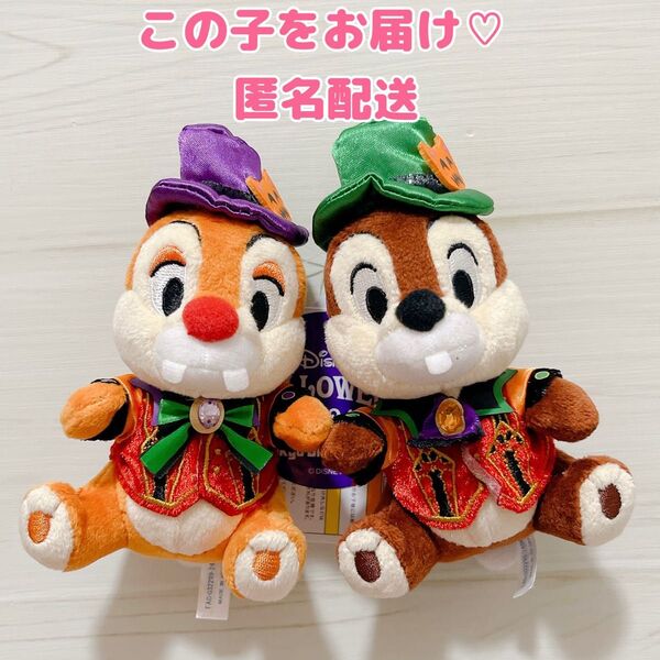 ディズニー ハロウィン イントゥザフレンジー チップ デール ぬいぐるみバッジ ぬいば