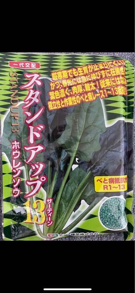 ナント種苗 スタンドアップ13 3万粒