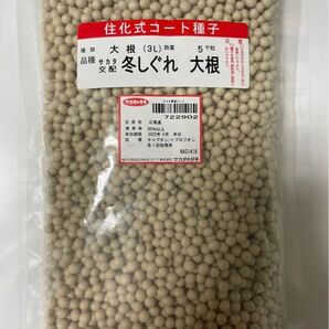 サカタ 冬しぐれ 大根 3L 5000粒