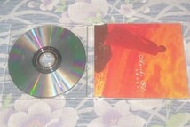 〇♪井手麻理子　太陽の花びら　CD盤_画像1