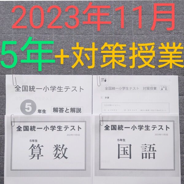 四谷大塚 全国統一小学生テスト 2023年 11月3日 5年生 算数 国語 2教科 問題 解答と解説 対策授業プリント
