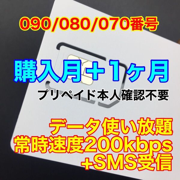 プリペイドSIMカード データ通信速度200kbps 使い放題 データ通信専用 SMS受信可能