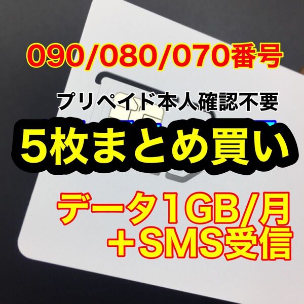 プリペイドSIMカード データ通信1GB/月 データ通信専用 SMS受信可能