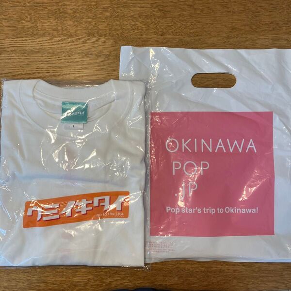Tシャツ Okinawapop ウミイキタイ