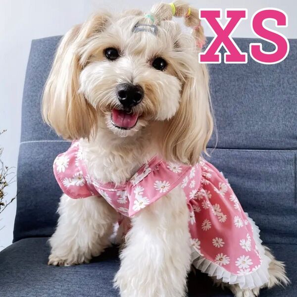 【XSサイズ】ドッグウェア 犬服 ペットウェア ストライプ 黒リボン ピンク