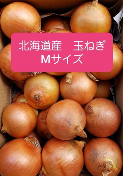 北海道産 玉ねぎ Mサイズ 約10キロ