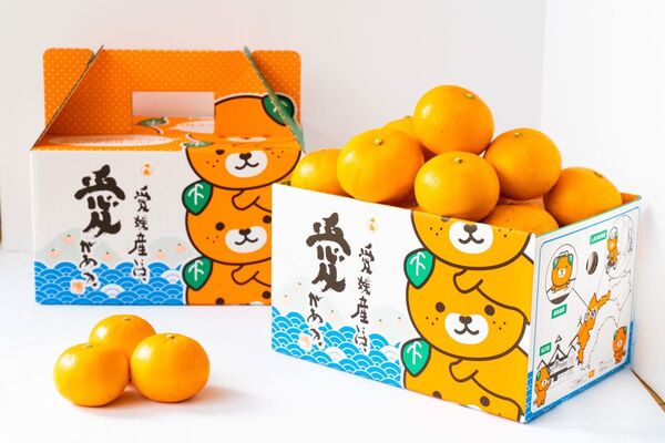 みかん みきゃんちゃん箱 3kg 約40〜50個入 愛媛県産 2sサイズ ⑨